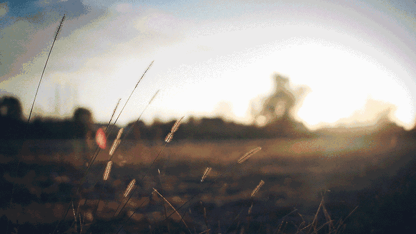 ae6fc541a6069ee97647514f6efb3a37.gif
