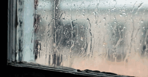 cfa8b160d219ae4a31a75e72cb308f72.gif