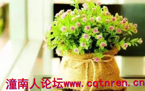 97abcde42269751c065ebae1621caba2.jpg