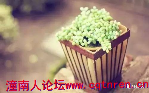 1f17b174461e0859051ca9d84fbbee0c.jpg