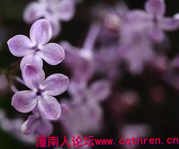 2e3a83ae2267fec4263dc171cb88aeb1.jpg