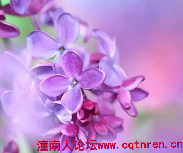 e65b1e3ef3b88a6d191800123fb18a7b.jpg