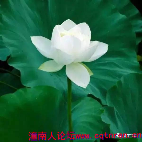 8011a8b2ad3de7d71704dbbec9b61d66.jpg