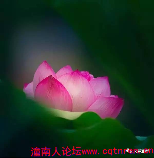 95666607631c8f29cbf04c5df46d6abe.jpg