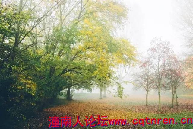 4d54fd66e8f0fe1f03548daa107c9006.jpg