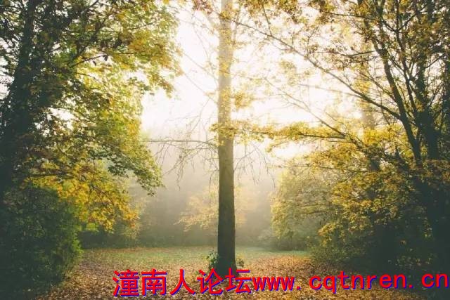 58c0188a038dd4615e7c2e08c71c2418.jpg