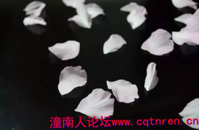 a86318146e5d814c295f565406008f88.jpg