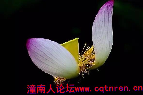 668e3eb1a9bd4fdff85390a0d69c621a.jpg