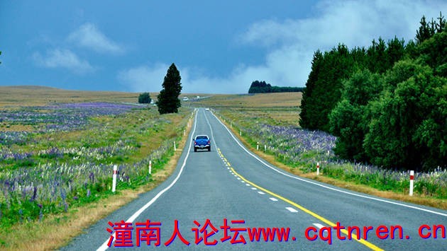 aae7a350baf094b9d4c61aed82e473eb.jpg
