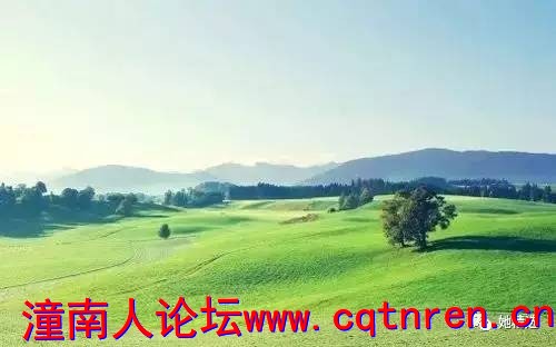 d2939477d4bce4440c3ebc1a33dea43e.jpg