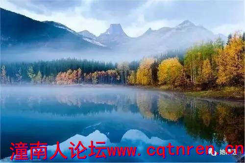 22e89e6319ba5c37cc658238b0fe6258.jpg
