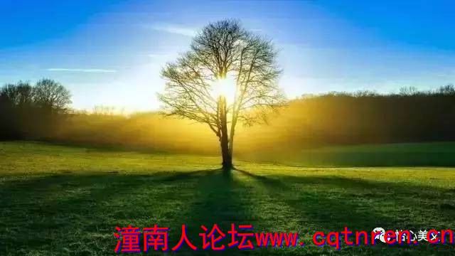 cdee14f94d41e7e11578d307649ea0c8.jpg