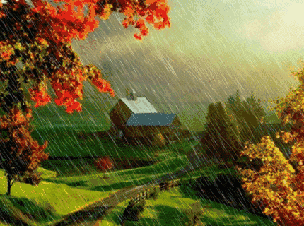 478a4511a2beff0710c22fd2cc8d1022.gif