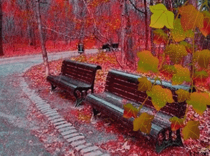 dc839eb703646a60896f21c7942686b9.gif