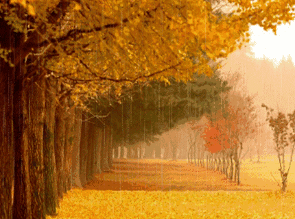 dc4eebabe082b099f798eb02b3fbe080.gif