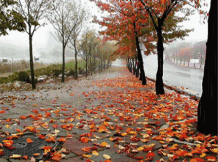 6397134ec63b8e97f086825b40a52527.gif