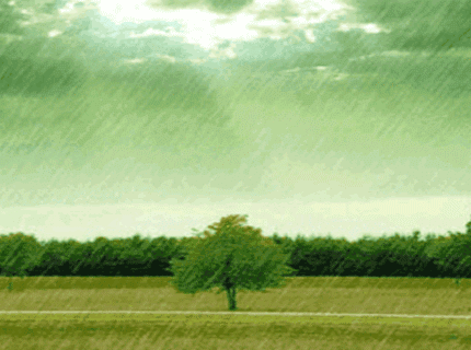 e1609877444ebaef9db5cb52a1bda773.gif