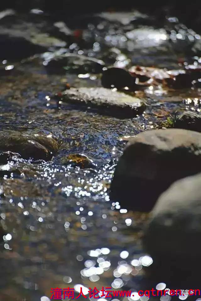 c8f62aa43651729dcba3aeef541cef32.jpg