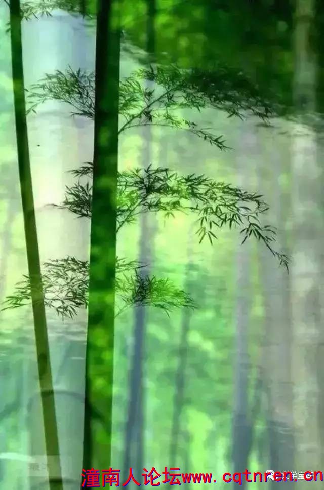 7f1546dd1618f19bf6817df97d148c02.jpg