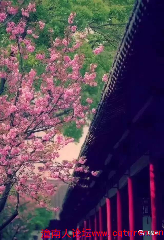 1cf7a9432ec7664605344c785bb0555f.jpg