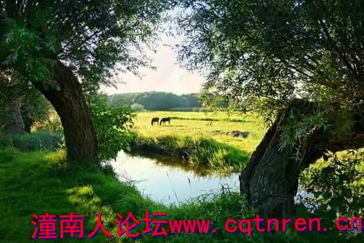 8a9dbe260cd1e17f67c6d103cc91bb1f.jpg