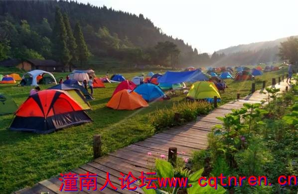 09c817a65bab929ff07c79e210251e47.jpg