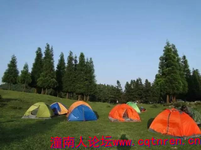 458f602256f943e451f4cc22c5eff9a3.jpg
