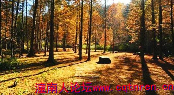 cf6fd66b6e32ec8d373e35d687cbb20e.jpg