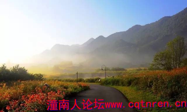 fc814d6d52c07e818e643e374f922dbd.jpg