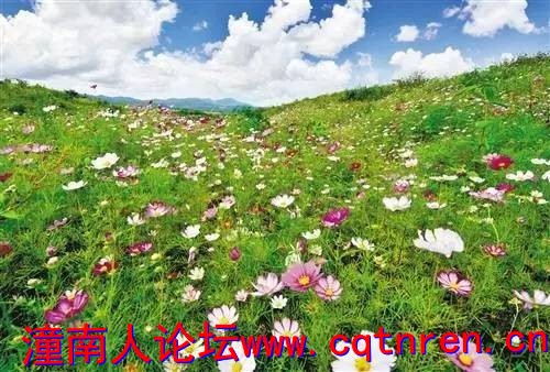 48230a903d6d4247eff3abfea54c6f9c.jpg