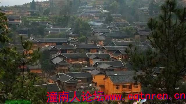 e62038cbe49c3dac9632cdcd7e3fa828.jpg