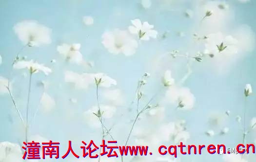 2da137c52cb61806bfed3ee46e9bc6e3.jpg