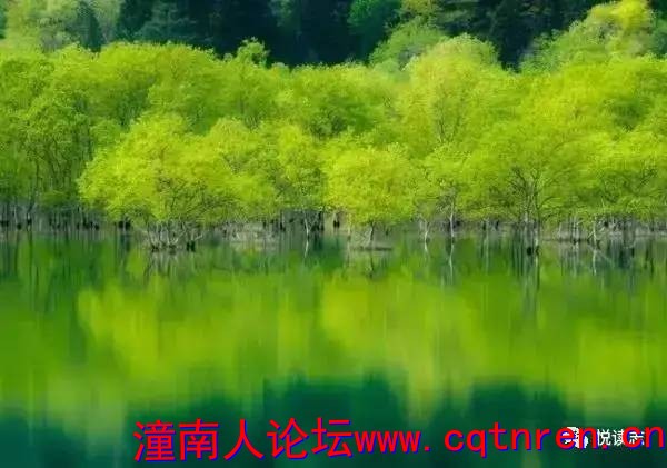 4d1941fe9feb10f7258c560de1bb7365.jpg