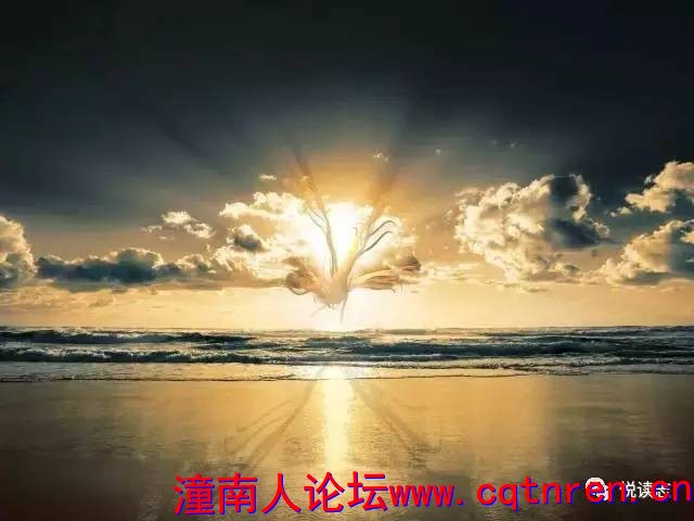 506f9e63371530568c3d5477912c73f0.jpg