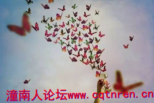 36d83916986f1a1b332f62451f4511f3.jpg