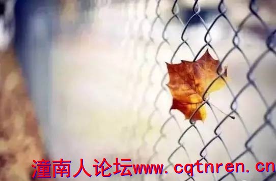 497d06d5fc6e1be05a036974be28e36e.jpg