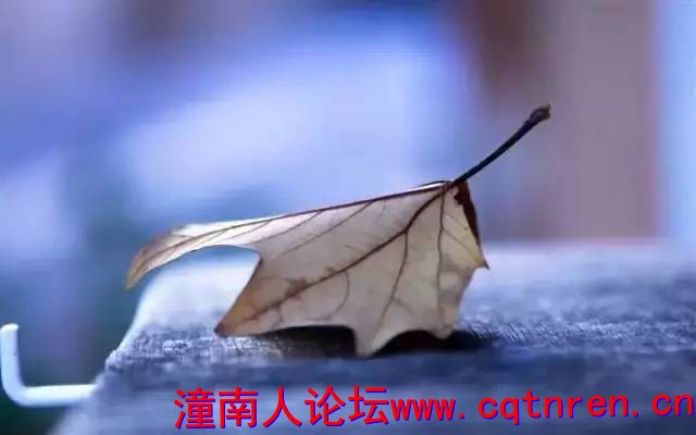 9b32c1521c6165c51de402d22317cb39.jpg