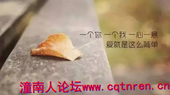 d9699f42c06e8aa854507808247b42f8.jpg