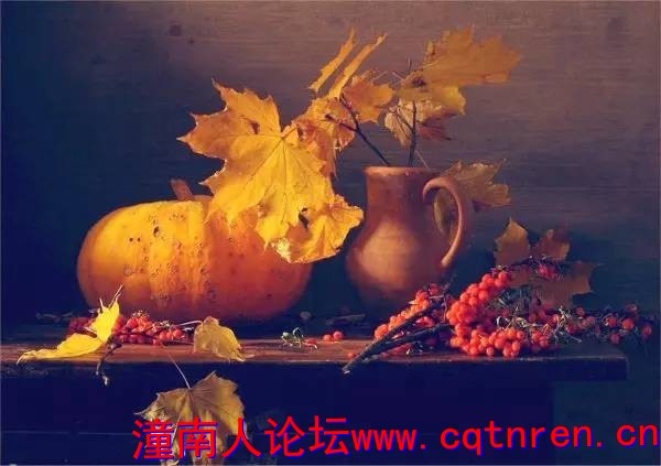 53b9e84476cce3eeb67a4a5bf2b87eb7.jpg