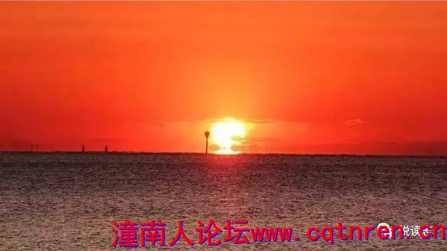 359af64b76ed4ebd53400eac8c150639.jpg