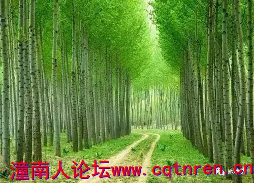 6eba00e853a275d25326bd306e481a6d.jpg