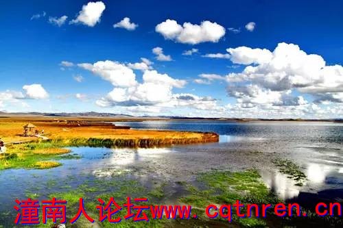 30c4678ee5955dd5037bdbc70119b156.jpg