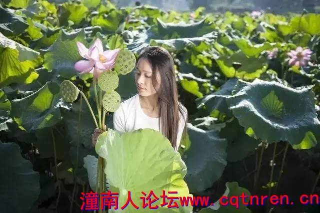 0e29572d8fa5a915e490766535a1bf29.jpg