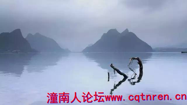 844a5bd3184984a81c71d94be0a0727d.jpg