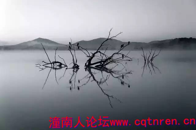 2526cb8b765adb000c61ccd3d33ff361.jpg
