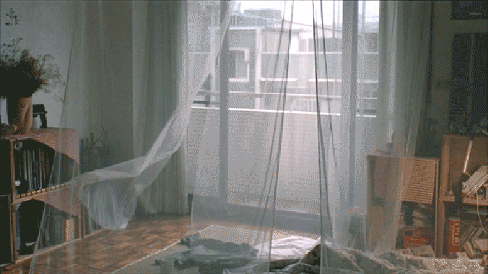 578f373fd94d3bd9fd82159ba1f2bced.gif