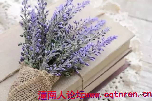 d500a9d84577c98a0436040bc0ef3d79.jpg