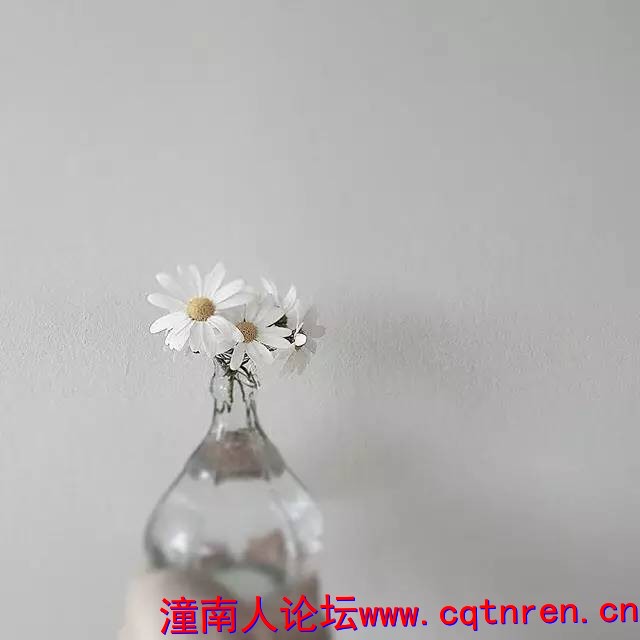 aa080afd2a69d92eb18a27ff1fb65d65.jpg