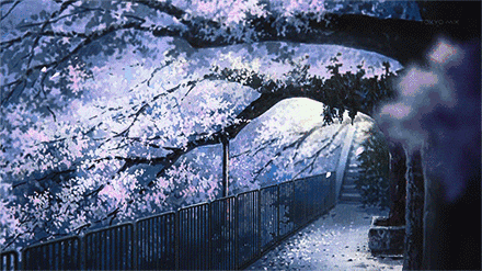 2131cc95ff9e549f6ba2a95ede7c8c4f.gif