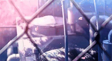 c50abff89df26836f080f99b68ccac93.gif